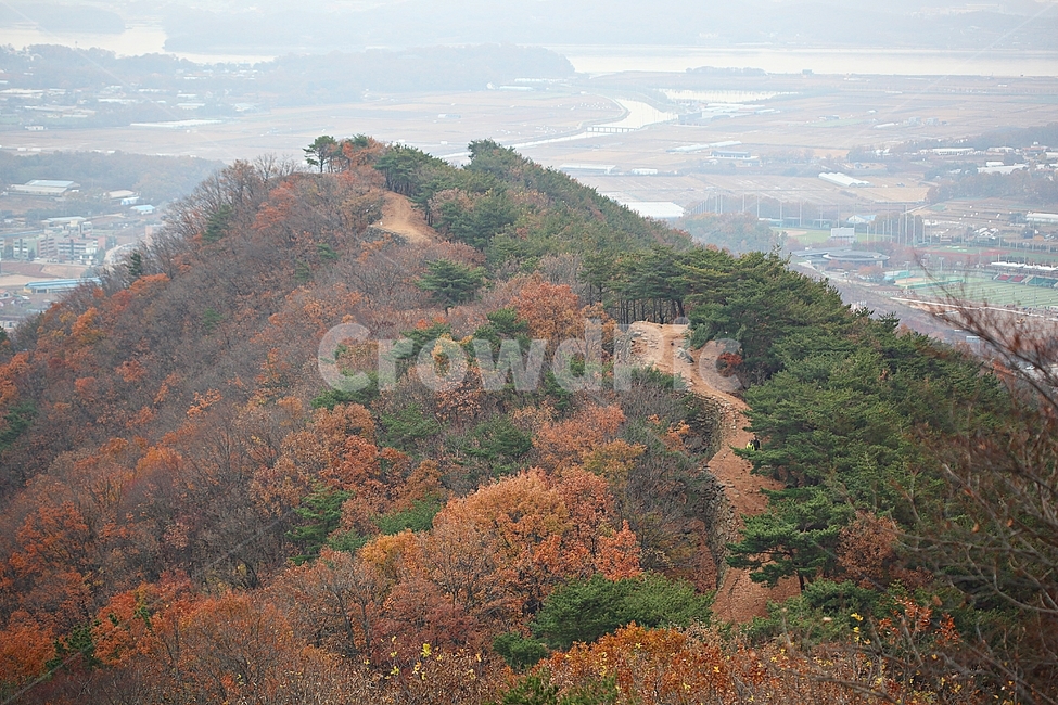 전등사,산성,성,성곽,길,둘레길,숲,숲길,담,돌담,가을,자연,풍경,식물,벽,방어벽,낙엽,단풍,가을,계절,fall,autumn,season,자연,풍경,nature,landscape
