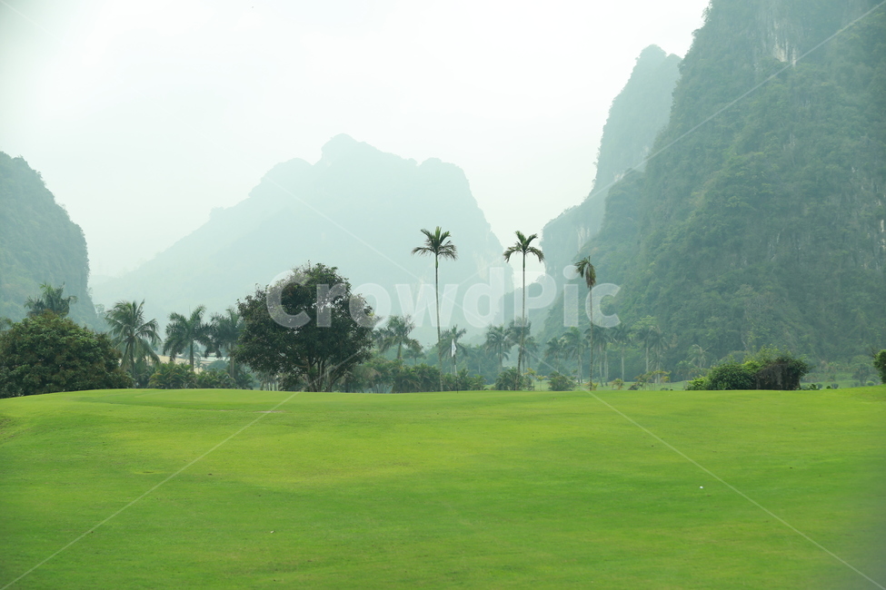 outdoors,grass,잔디,golf,golfcourse,골프코스,골프
