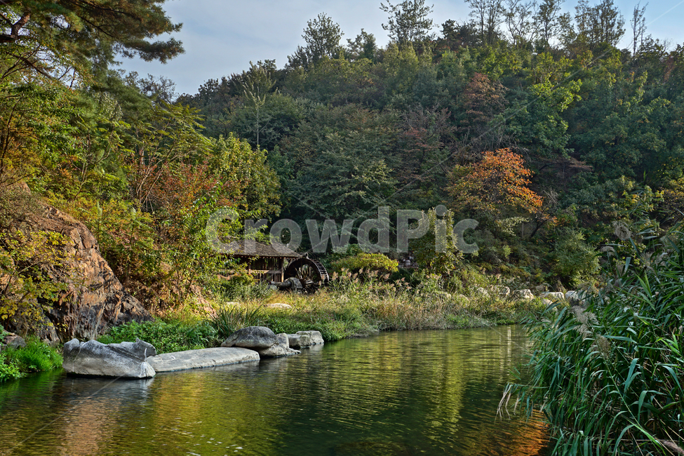 홍제천,물레방아,자연,나무,숲,삼림,산림,식물,plants,tree,nature,풍경,landscape,한국,서울,korea,seoul,10월,october,river
