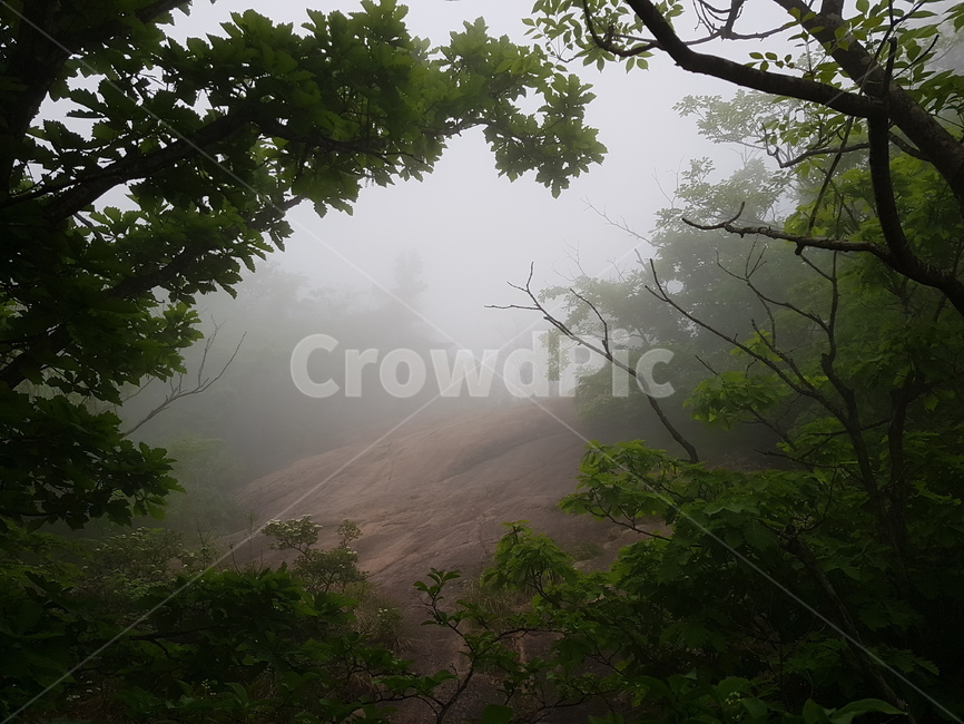 설악산,산,자연,풍경,나무,안개자욱,설악산정상,안개,설악산안개,숲,숲속안개,바위,돌