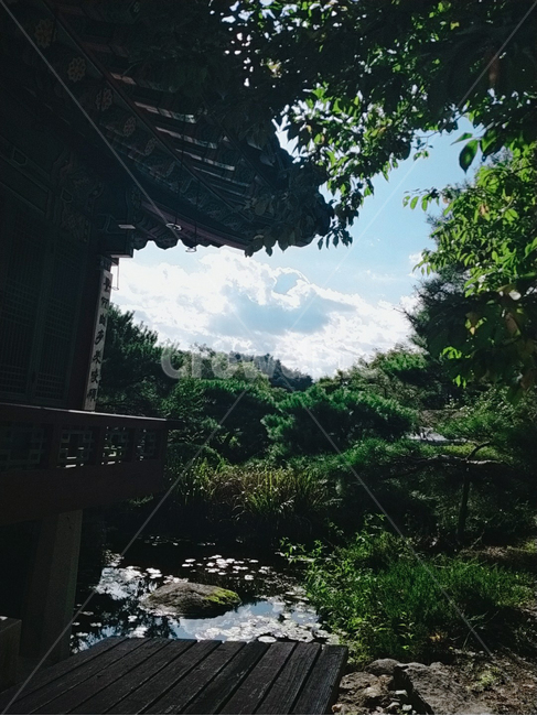 vegetation,초목,plant,식물,outdoors,옥외,nature,자연,water,물,rainforest,열대우림,tree,나무,land,하늘,구름,나라,정자,초록,파랑,그늘,한국전통,전통