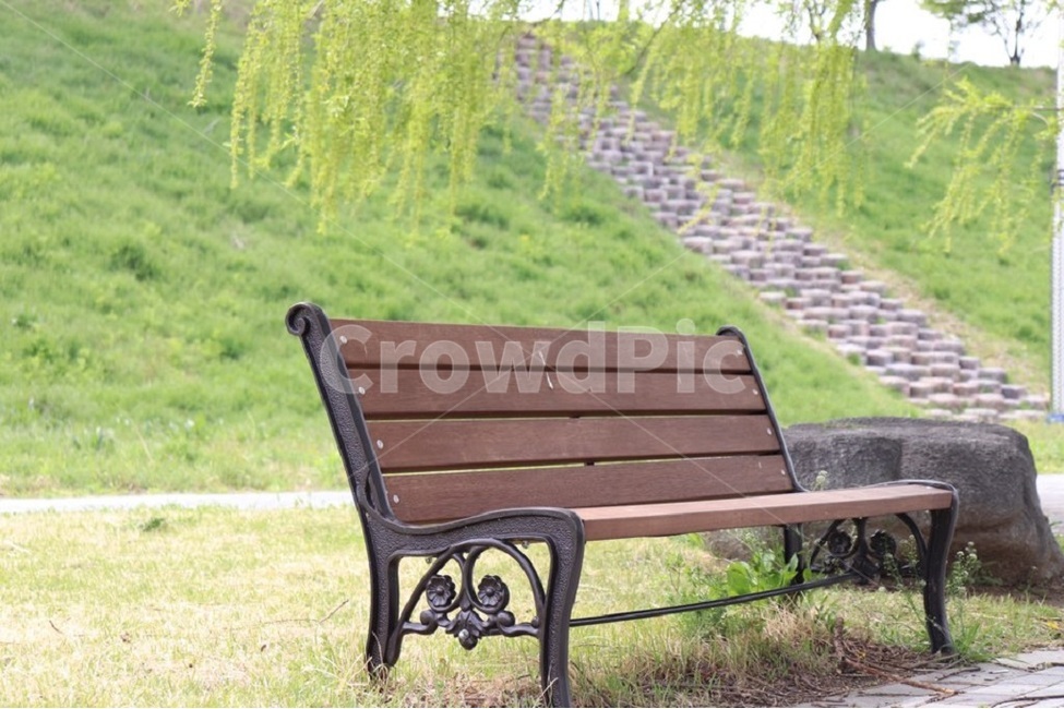 여유,힐링,의자,벤치,버드나무,자연