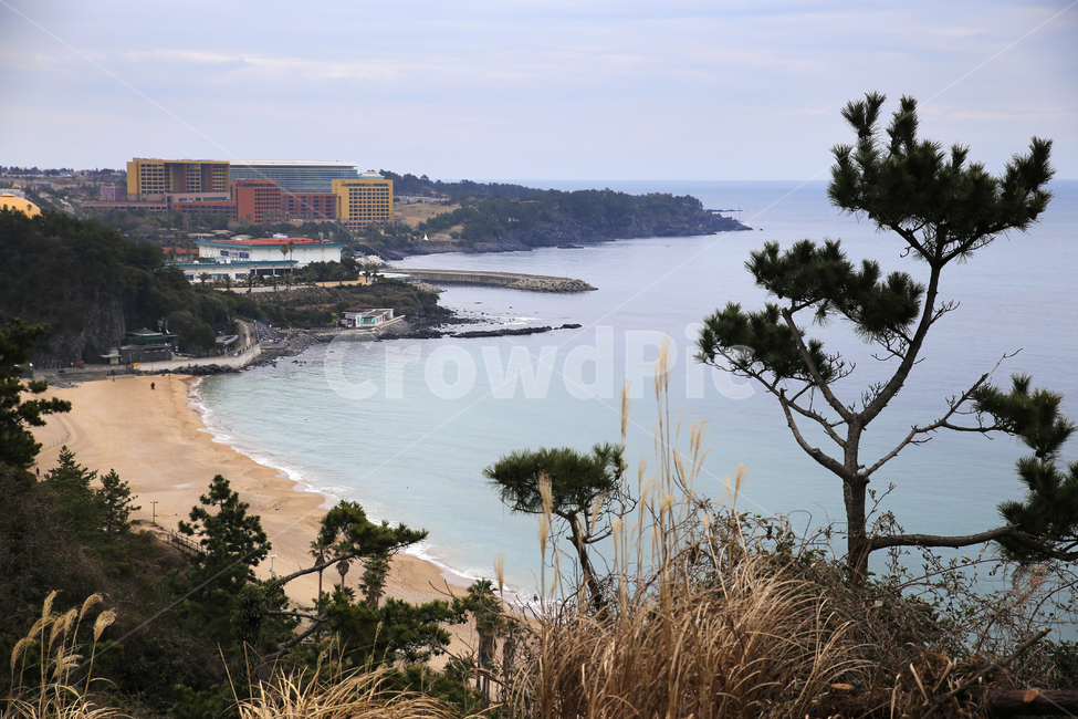 중문관광단지,나무,가을,바다,파도,해수욕장,제주,하늘,구름,방파제,자연,풍경,nature,landscape,한국자연풍경,한국자연경관,korea nature landscape,water,물,shoreline,해안선,promontory,곶,land,땅,outdoors,옥외,ocean,대양,sea