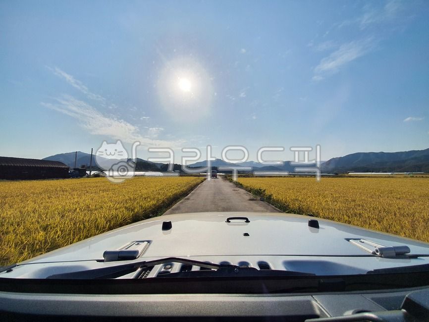 asphalt,아스팔트,눈길,소로길,시골길,시골,논,가을,드라이브