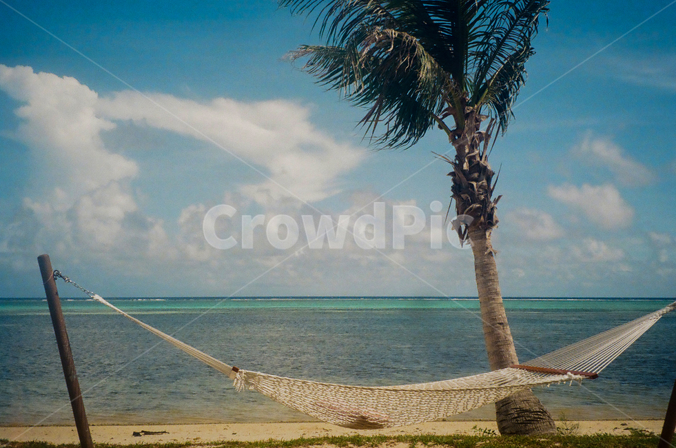 plant,식물,tree,palmtree,야자수,사이판,saipan,필름카메라,wood,나무,driftwood,유목,해변,beach,바다,해먹,여름,계절,summer,season,해변,바다,beach,sea,여행,휴가,traveling,vacation,trip