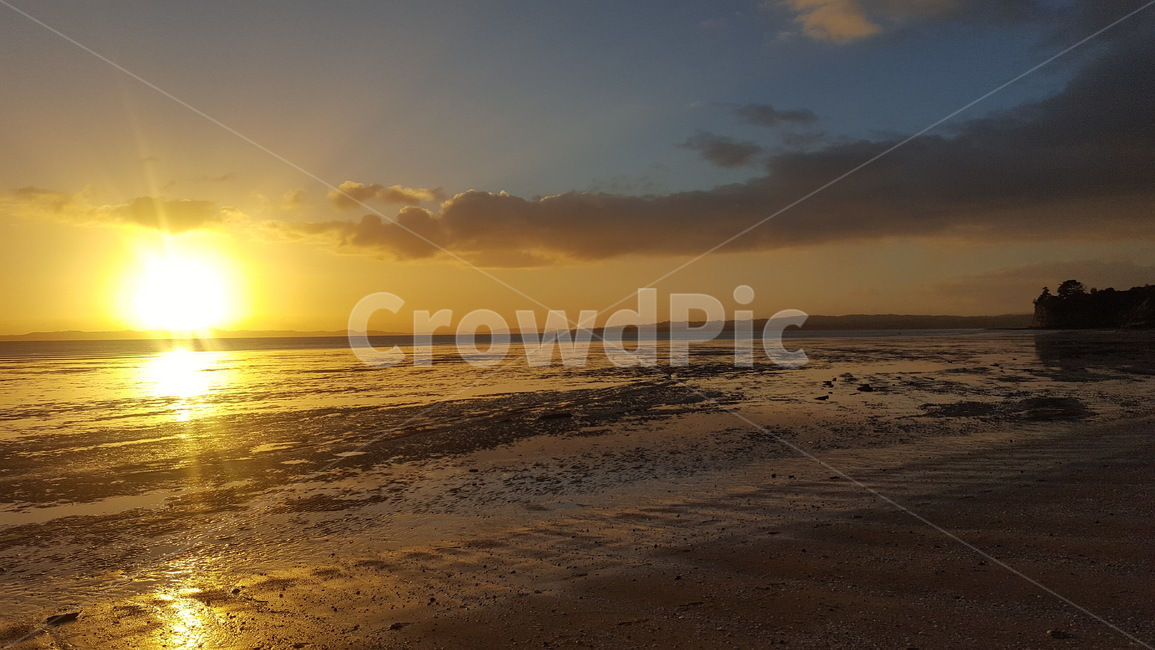 햇빛,자연,바다,뉴질랜드,sunlight,nature,sea,newzealand