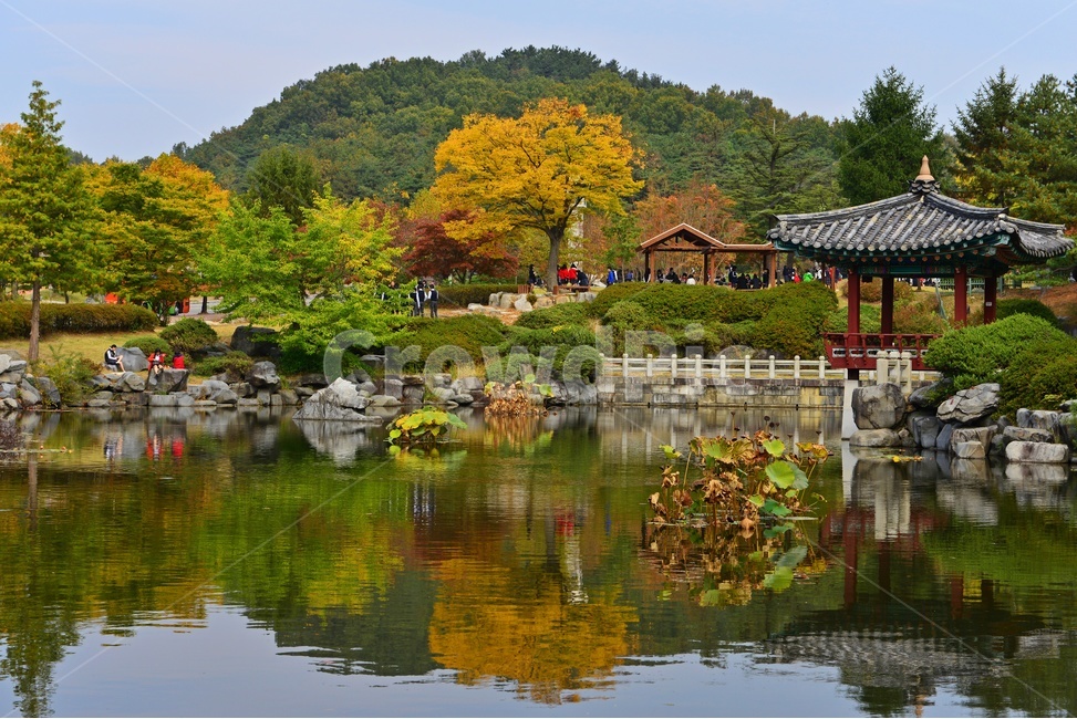 충남,대전,현충원,국립현충원,연못,가을,반영,추색,정자,nature,자연,water,물,outdoors,옥외,가을,계절,fall,autumn,season,자연,풍경,nature,landscape,한국자연풍경,한국자연경관,korea nature landscape