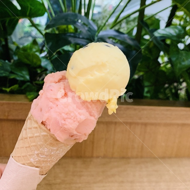 dessert,creme,크림,cream,food,음식,icecream,아이스크림,콘,콘아이스크림,디저트,음식,식재료,요리,food,cook,meal,dishes,food reserves,디저트,간식,후식,dessert,snack
