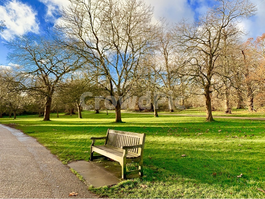 furniture,가구,bench,벤치,plant,식물,grass,잔디,공원,park