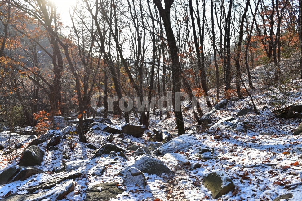 관악산,풍경,겨울,자연,눈,스포츠,등산,산행,nature,snow,겨울풍경,느낌,아름다운,신비로운,경이로운,기암,바위,암봉,암릉,다큐,필,힐링,명산,landscape,winter,season,트레킹,100대명산,인기명산,조망,전망,정부청사,6봉,수목원능선,바윗길,암릉길,설경,늦가을,공존,겨울,계절,winter,season,자연,풍경,nature,landscape,한국자연풍경,한국자연경관,korea nature landscape,ground,바닥,tree,나무,plant,식물