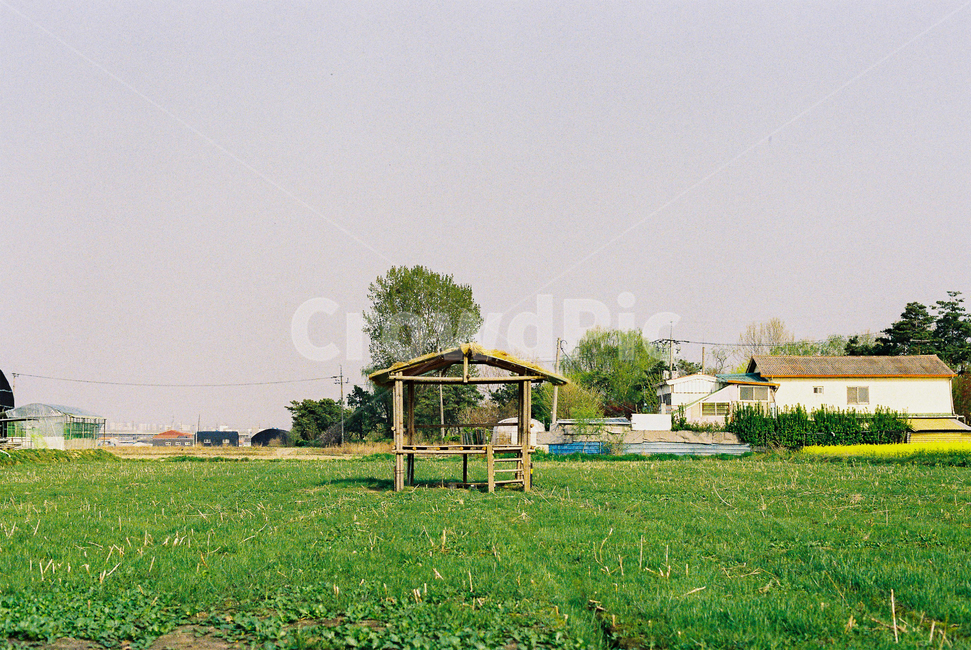 초원,농촌,자연,농장,풍경,필름,필름사진,film,farm,평택,풍경사진,한적한,시골,마을,풍경,landscape,country,rural,town