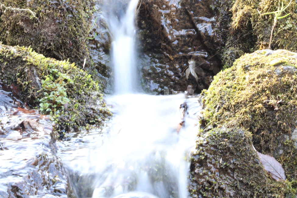 자연,폭포,흐르는물,이끼,waterfall,river,nature