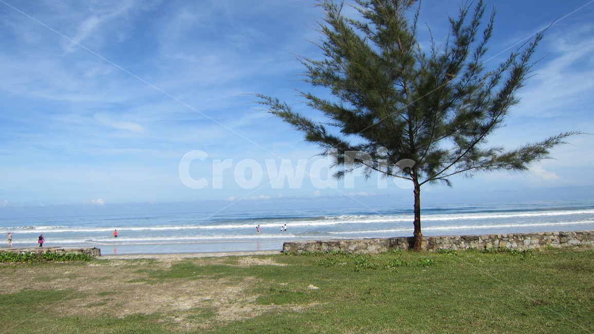 코타키나발루,말레이시아,나무,해변,하늘,바다,파도,바닷가,구름,kotakinabalu,beach,자연,풍경,nature,landscape,shoreline,해안선,water,물,outdoors,옥외,sea,ocean,대양
