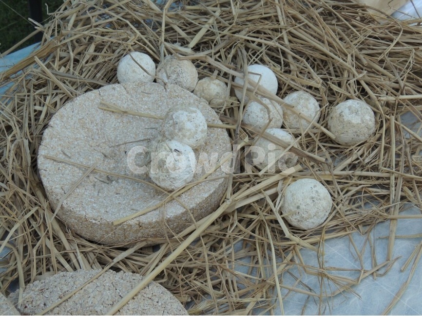 시골,농촌,누룩,짚,country