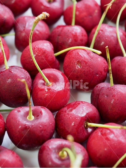 체리,과일,음식,자연,신선함,건강한식생활,유기농,날것,달콤한음식,빨강,배경,cherry,fruit,food,nature,freshness,healthyeating,organic,rawfood,sweetfood,red,background,과일,열매,fruit