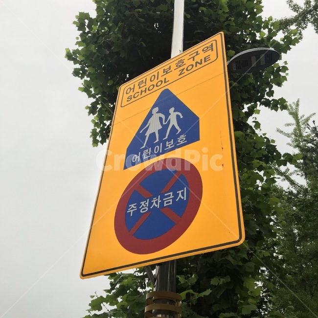 표지판,어린이보호구역,주청자금지,나무,도로표지판,안내표지판,금지표지판