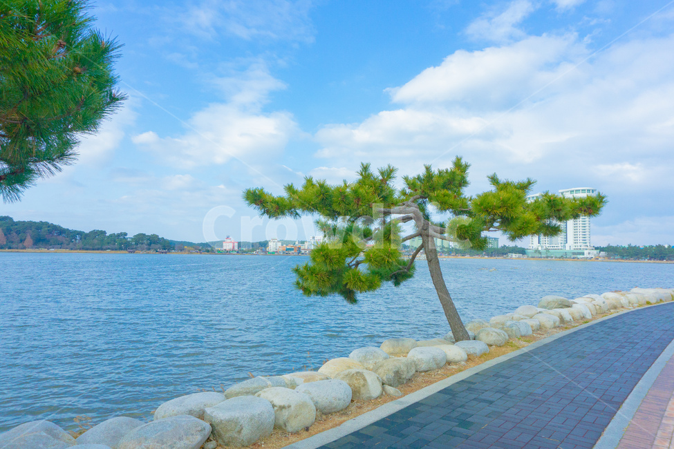 nature,자연,water,물,ocean,sea,바다