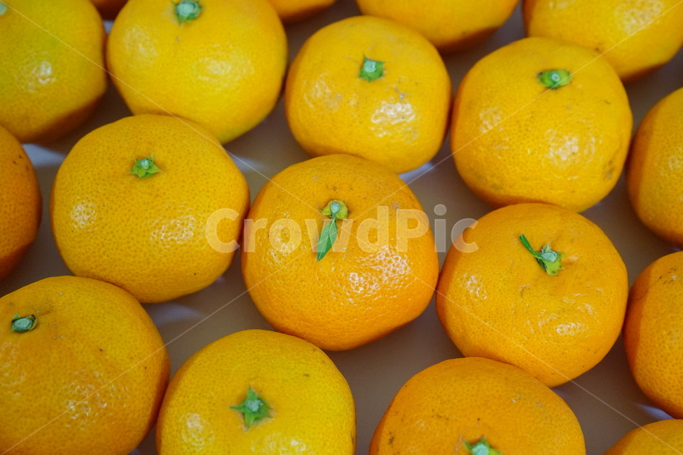 fruit,감귤,감귤류과일,음식,식물,음식,식재료,요리,food,cook,meal,dishes,food reserves,과일,열매,fruit