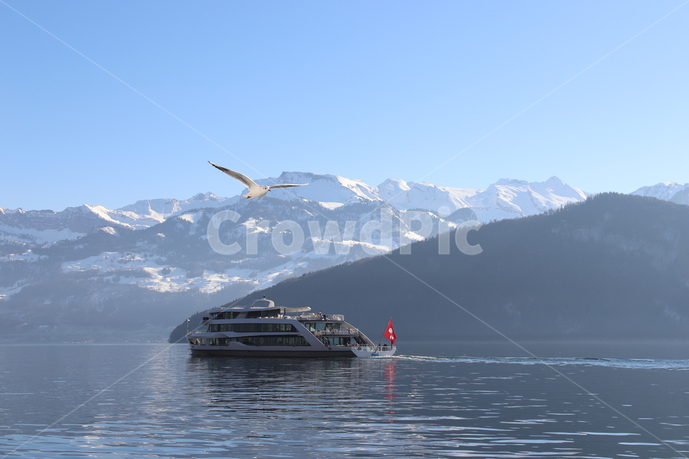 스위스,루체른,swiss,boat,switzerland,rigi,ship,유럽,바다,갈매기,자연문화유산,풍경,새,bird,산,설산,반영,스위즐랜드,자연,알프스