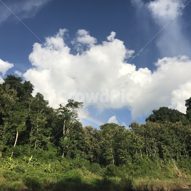 무지개,산,나무,하늘,구름,자연,자연,풍경,nature,landscape,weather,날씨,outdoors,옥외,cumulus,적운,cloud,sky,land,땅