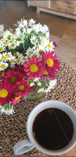 국화,식물,plant,아메리카노,까페,꽃,라떼,커피숍,플라워