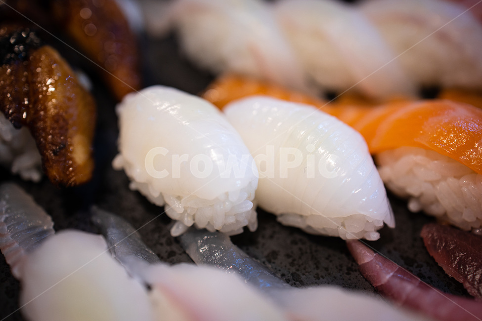 초밥,쓰시,sushi,한치초밥,일식,맛집,음식,일본음식
