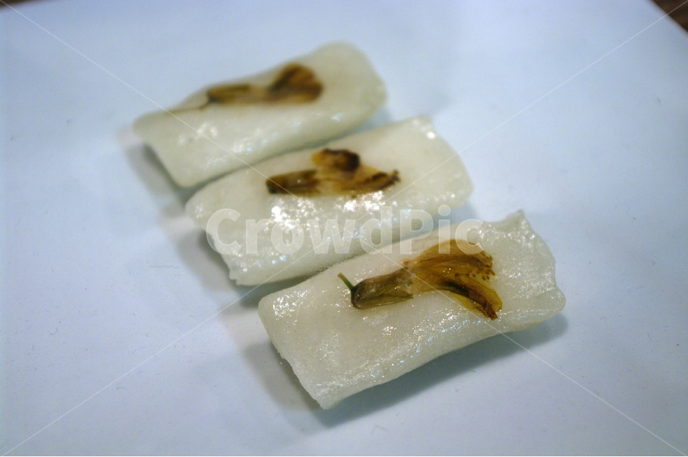 꽃,화전,음식,요리,디저트,한국,food,sweet,dessert,bakery,cake,음식,식재료,요리,food,cook,meal,dishes,food reserves,한식,한국음식,한국요리,korean food,korean dishes,korean meal,korean cook,디저트,간식,후식,dessert,snack
