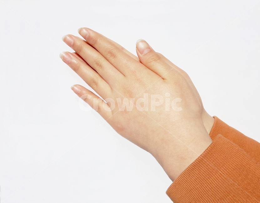 기도,손,아이,소녀,기도손,여자아이,믿음,성경,작은,교회,종교,크리스천,카톨릭,가톨릭,기독교,개신교,사람,사랑,감사,예배,예수님,예수,찬양,praying,hands,child,faith,bible,prayer,pray,little,church,girl,holy,hand,color,religion,concept,folded,background,children,kid,christian,people,kids,love,person,catholic,christ,god,peace,spiritual,hope,worship,grace,jesus,belief,trust,thanksgiving,believe,thank,nature,사람,인물,인간,human,person,신체일부,몸,body