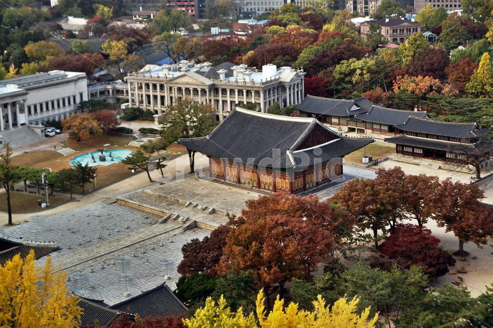 덕수궁,궁궐,가을,계절,서소문,도심,중화전,석조전,한국전통,한국문화,korean traditional,korean culture
