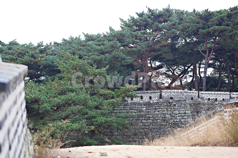 남한산성,성,성곽,단풍,낙엽,길,둘레길,숲,숲길,담,돌담,가을,자연,풍경,벽,울긋불긋,산성,식물,가을,계절,fall,autumn,season