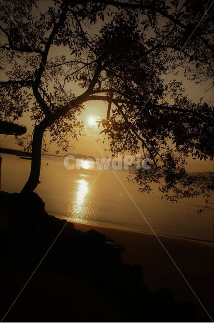 일몰,노을,저녁놀,자연,nature,빛,하늘,감성,구름,나무,바다,섬,모래,모래사장,파도,풍경,자연풍경,자연,풍경,nature,landscape,실루엣,그림자,silhouette,shadow,sunlight,햇빛,flare,플레어,light,outdoors,옥외