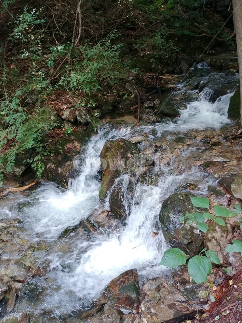 죽령,산골짜기시내,시원한물,산골짜기개천,산속시냇물