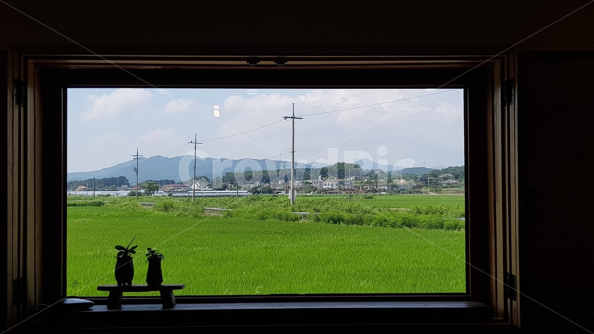 카페,통유리창,푸르름,역광,초여름