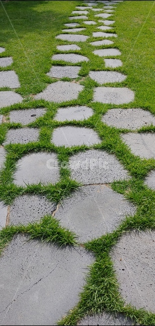 돌길,잔디,땅,바닥,길,오솔길,정원,식물,그린,녹색,돌바닥길,자연,풍경,nature,landscape,path,통로,flagstone,판석,walkway,보도