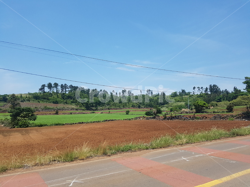 제주,제주도,풍경,여름,도로