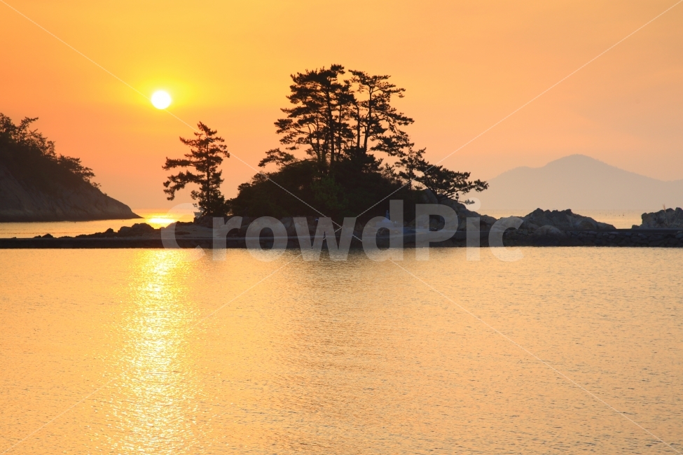 소등섬,일출,바닷가,아침바다,황금빛,소나무,섬,자연,풍경,nature,landscape,한국자연풍경,한국자연경관,korea nature landscape,outdoors,옥외