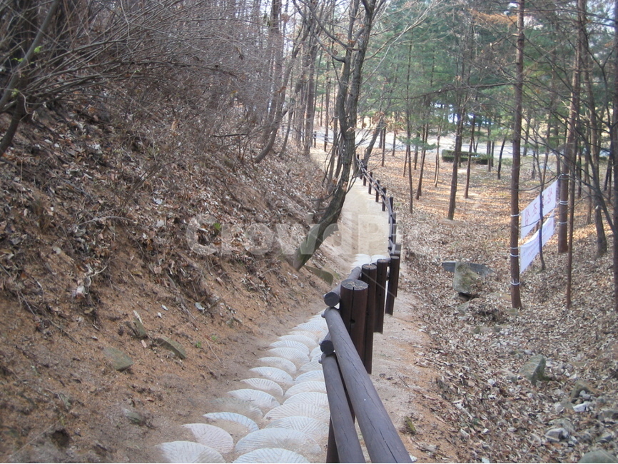 숲,길,산책로,나무,돌,fence,forest,road,나무잎,leaves,가을,fall,소나무,finetree,계단,stairs,가을,계절,fall,autumn,season,자연,풍경,nature,landscape