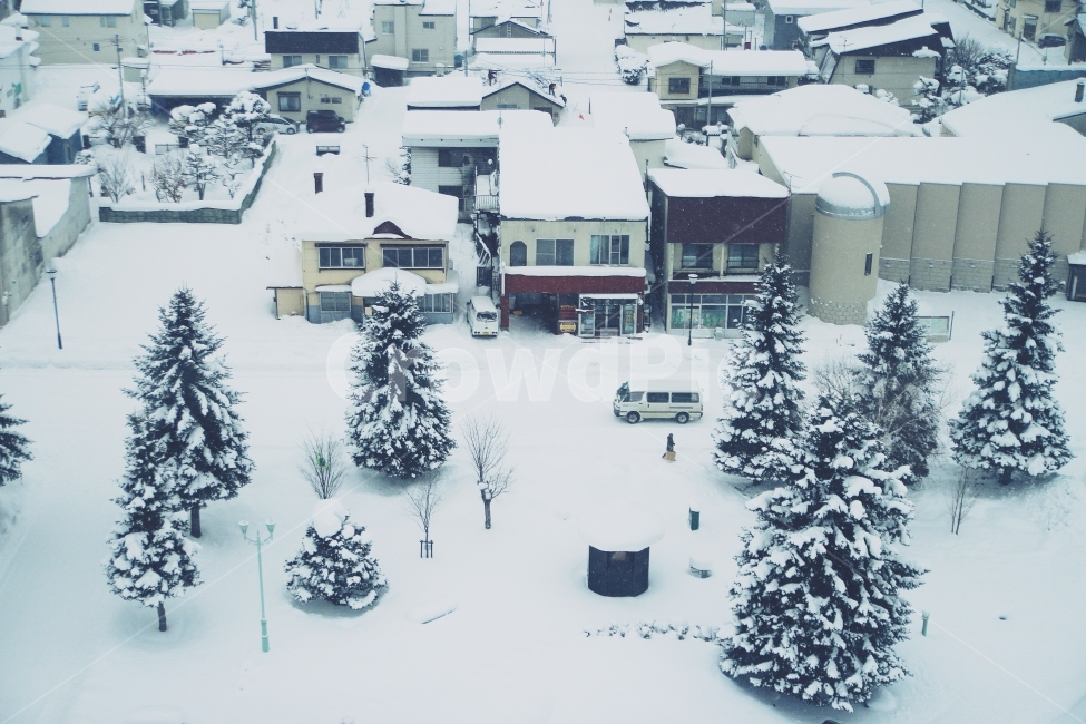 겨울,겨울여행,일본,비에이,삿포로,북해도,홋카이도,마을,도시,눈,겨울,계절,winter,season,도시,풍경,city,landscape,해외,외국,세계,foreign,oversea,world,세계도시풍경,해외도시풍경,외국도시풍경,world cityscape,감성,sensible,feeling,nature,자연,outdoors,옥외,plant,식물,tree,나무,abies,아비,fir,전나무