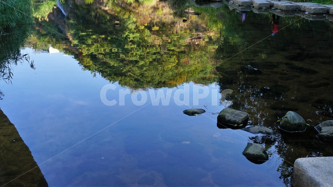 홍제천,산책길,푸른하늘,산,자연,물,개천,자연,풍경,nature,landscape,water,outdoors,옥외