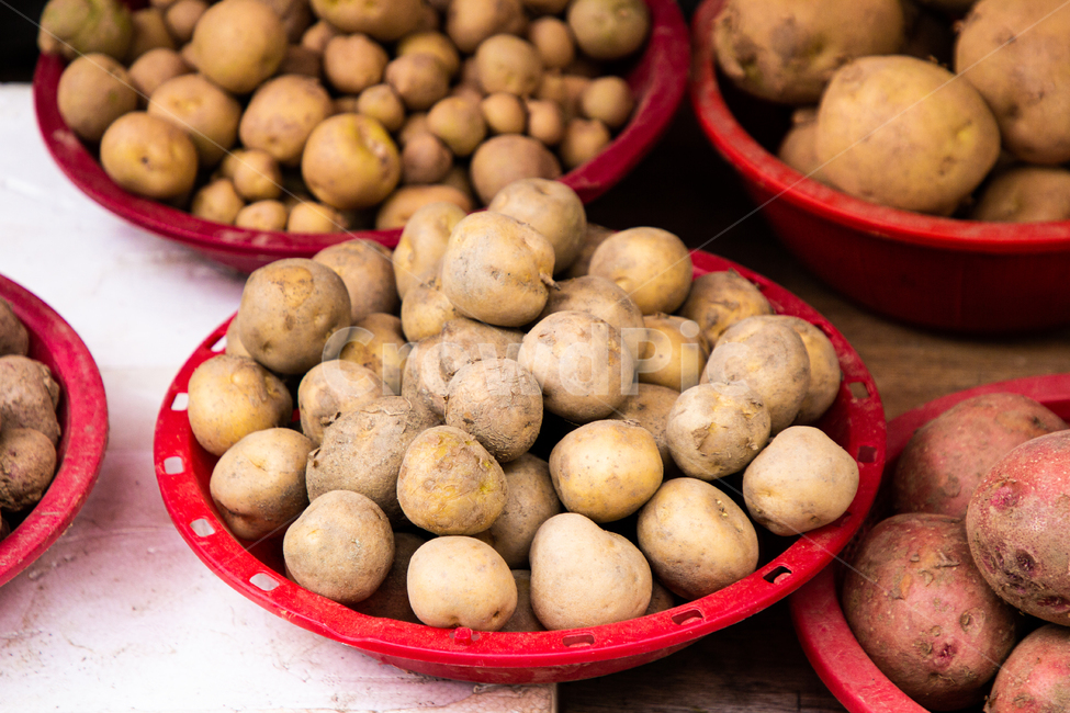 감자,알감자,채소,식물,건강,탄수화물,시장,바구니,ripe,ingredients,bowl,farm,starch,tiny,diet,vegetarianfood,groupofobjects,rawpotato,stack,potato,potatoes,produce,uncooked,small,assorted,mini,baby,agriculture,background,brown,closeup,cooking,delicious,eating,food,fresh,garden,group,harvest,healthy,heap,ingredient,korean,market,marketplace,meal,natural,nature,nutrition,organic,outdoor,plant,raw,tasty,vegetable,vegetarian,yellow,식단,클로즈업,음식,식재료,요리,food,cook,meal,dishes,food reserves,채소,야채,vegetables