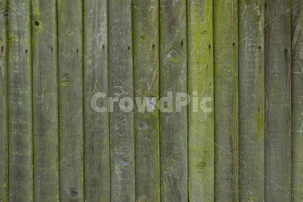 wooden floor,texture,tree,pattern,background image,wood pattern,tree background,background,wooden wall,wall,design source