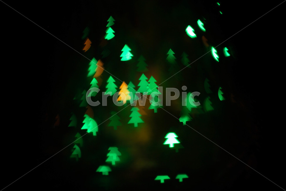 보케,하트,별,나무,감정,백그라운드,합성,lighting,조명,야경,밤,풍경,nightscape,night,landscape