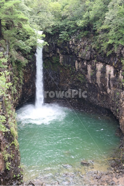 폭포,나무,물,자연,풍경,절벽,falls,tree,water,nature,scenery,cliff,taki,ki,mizu,zetppeki,자연,풍경,nature,landscape,river,강,outdoors,옥외,waterfall
