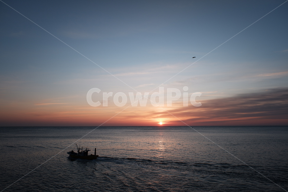 새해,바다,아침,새벽,newyear,nature,자연,outdoors,옥외,dawn,아침해,붉은하늘,redsky,sunrise,일출,보트,boat,차량,vehicle