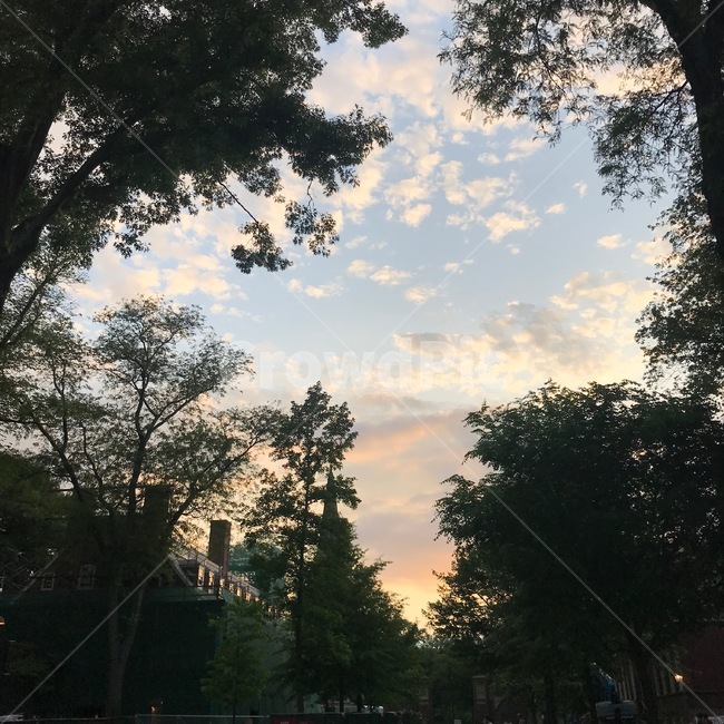 하늘,구름,해질녘,sky,분위기,핑크하늘