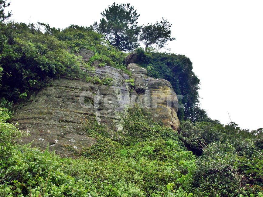 올레10코스,올레,서귀포시,제주,기암괴석,암석,화산석,자연,풍경,nature,landscape,제주도,jeju,jeju island,outdoors,옥외,cliff,낭떠러지,vegetation,초목,plant,식물,tree,나무,rainforest,열대 우림,land,땅