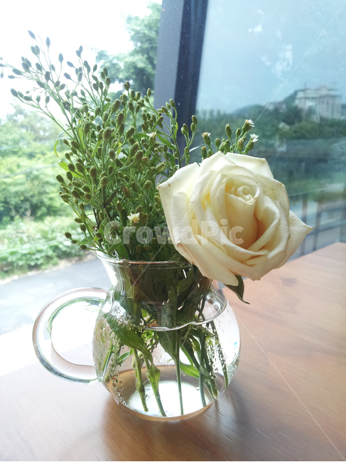 flower,꽃,blossom,plant,식물,rose,장미,유리꽃병,휴식,rest