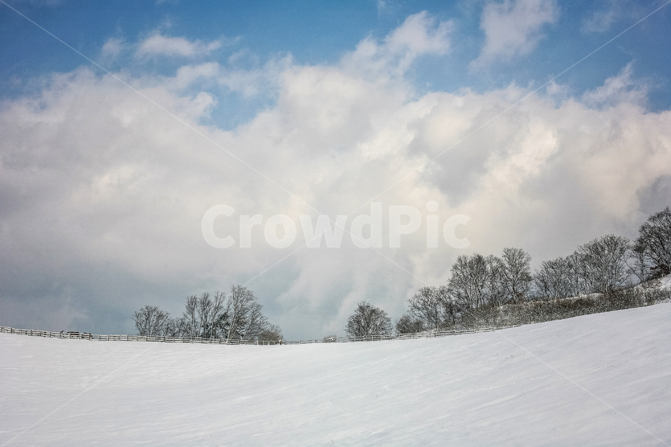 설경,설원,겨울,눈,스노우,화이트,겨울풍경,계절,겨울,계절,winter,season,자연,풍경,nature,landscape