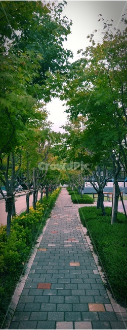 가을,풍경,분위기,블럭,나무,자연,풍경,nature,landscape,arbour,정자,garden,정원,outdoors,옥외,tree,plant,식물,tree trunk,나무 줄기
