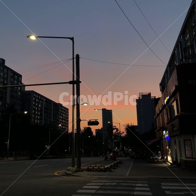 새벽,일출,산책,서울,하늘,노을